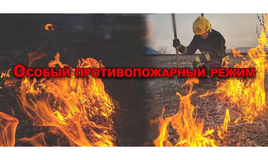 ����������� ������� ������ � ����� �� ����� ���������� ��������� ������