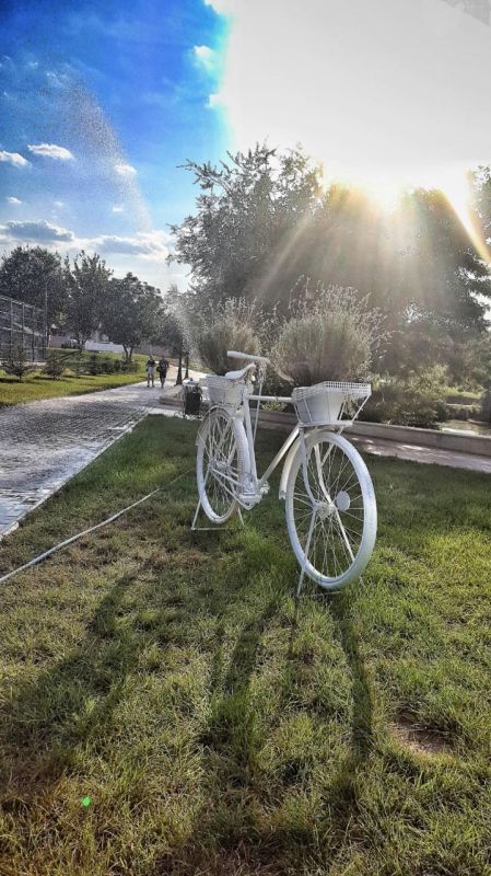 ���� ����������.. ���� ������ ����������