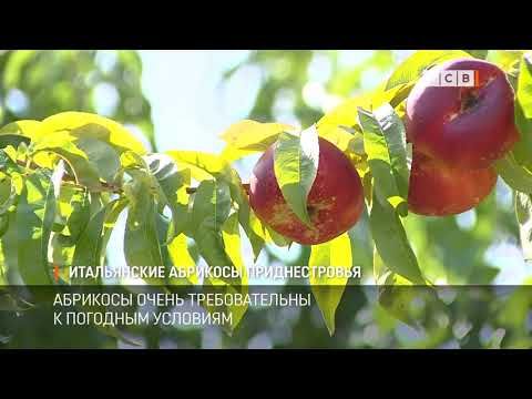 ����������� ����� ��������� � ���������� �������� ������� � ����� �������� �� ���������. ��� � ��� ���������� � ������ ��� ����� �������?