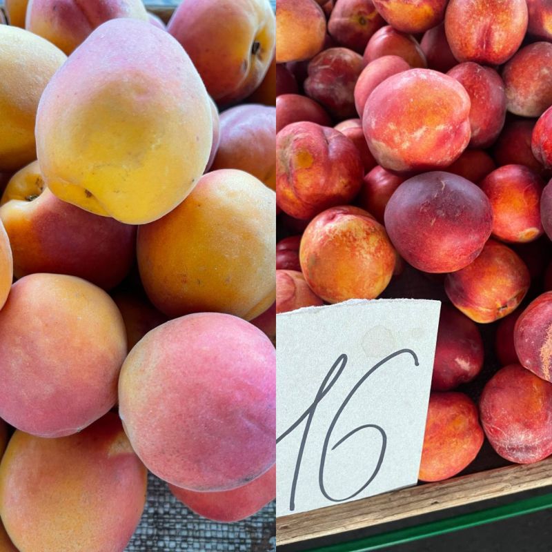 ����� ��������� ������ ���������, ��� ������� ���������, �� 25 ������ �� ��������� �� ������ �����