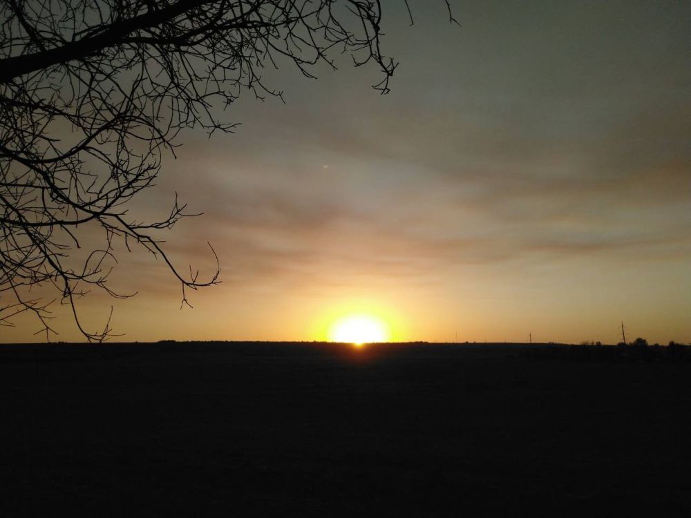 �� �������� ���������� �������