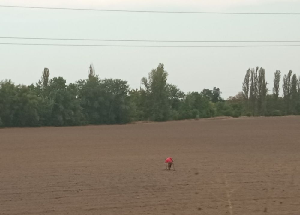 ����� ���� � �� ���� ���� ��� ������ ������