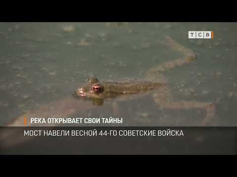 �� ������ ������������ ������ ����� ���� ����� �������������� �� ��������������. ���� ������ �� �������� ����������. � ����� �� ����������� ���������� ������� ���������� ��������. ��� ������ �� ��� �� ������ �������. ������ ���� ����� ��������� ���� �����