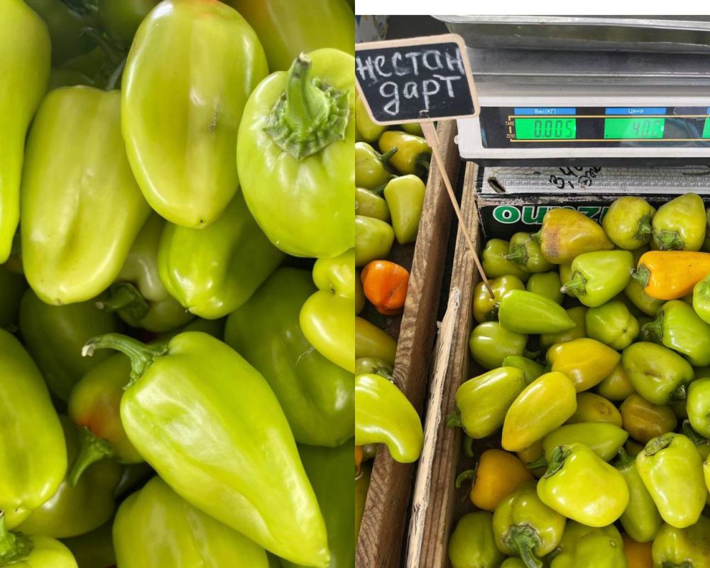 ����� ������ � ����� ��������