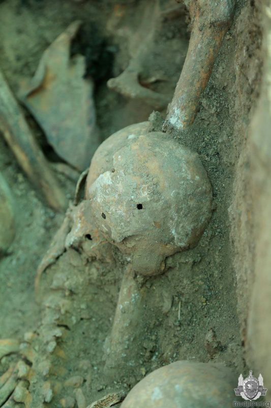 �� ���������� ������-������������� ����� �������������� ��������� ������������ ��������