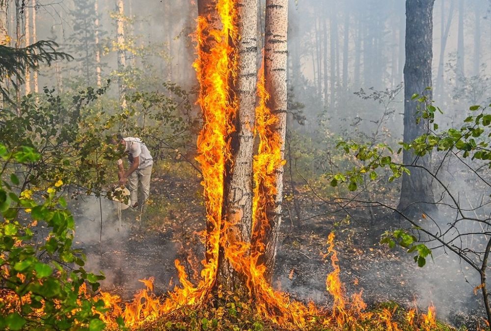 ������� ����������� ������� ���������� ������ � ����: