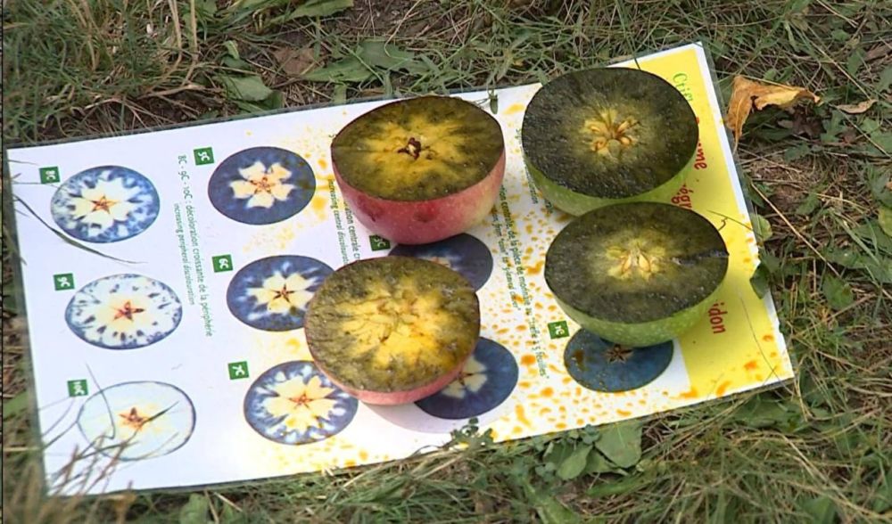 ��� ���������� ����-����� ����� - ���� ��������������� ������