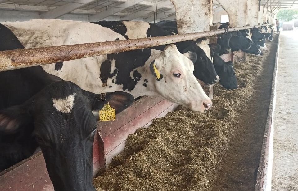 ��������� ���������������������