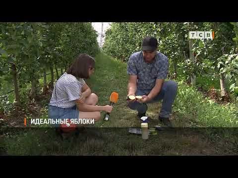 � ���������� ������� ���� ������ �����. ������ ����� ������ ����� �� ������, ��� ����� ���� �� ������� �����. �� ���� �� ������� ��������� ��� ��������