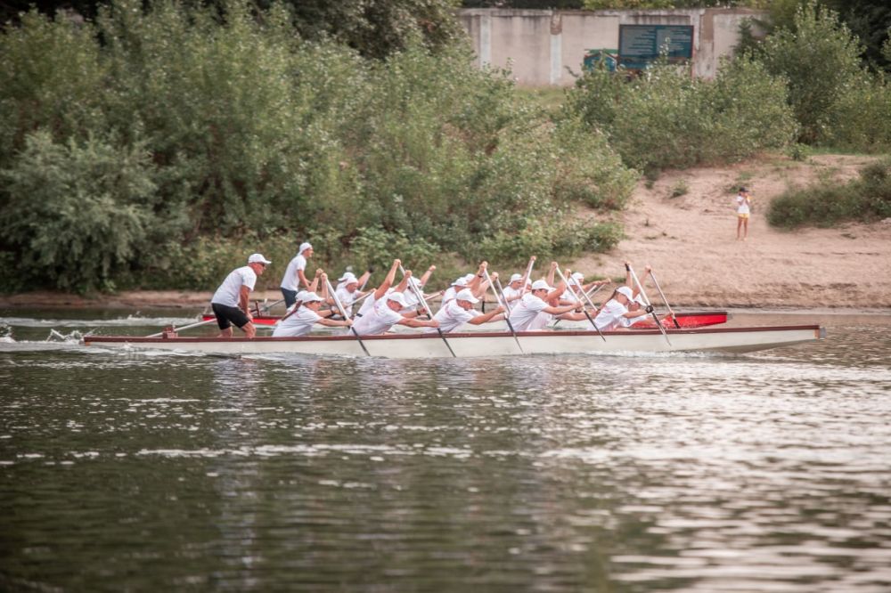 ������ ������� �������� � �����������