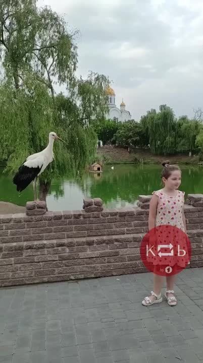 ���� ���� ������ �� ��������������� �����