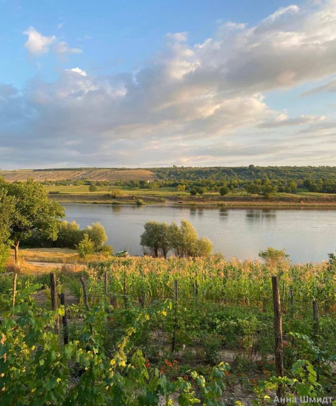 �� ����� ���� ������ ������