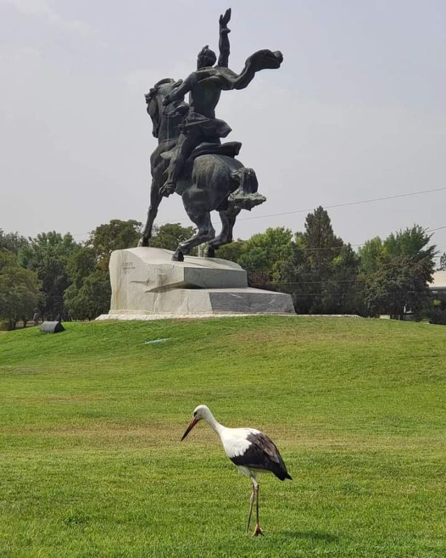 ���������. �������. ����