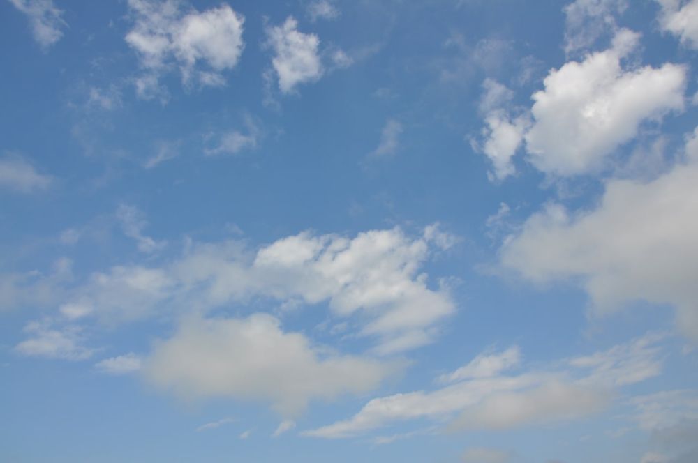 � ������ �� �������� ����������� ������������� - ��������� ���������������� �������������� ������� ���������