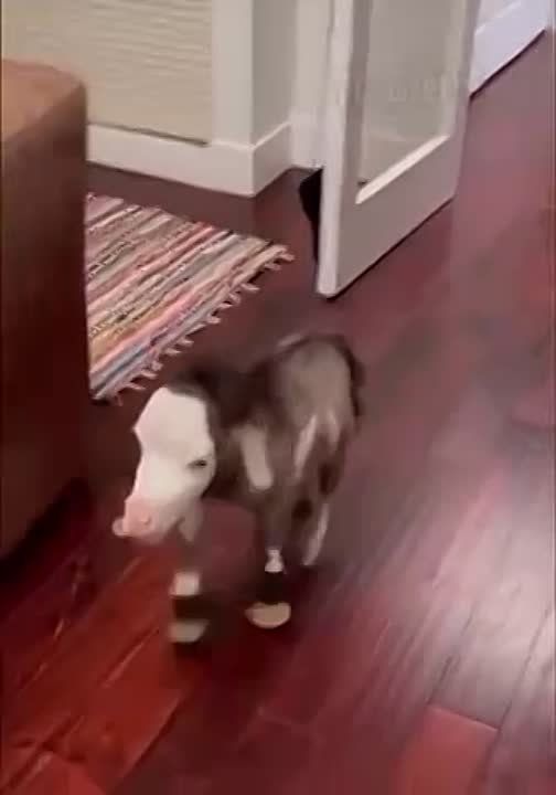 � ������ �������� ����� ��������� ������ � ����