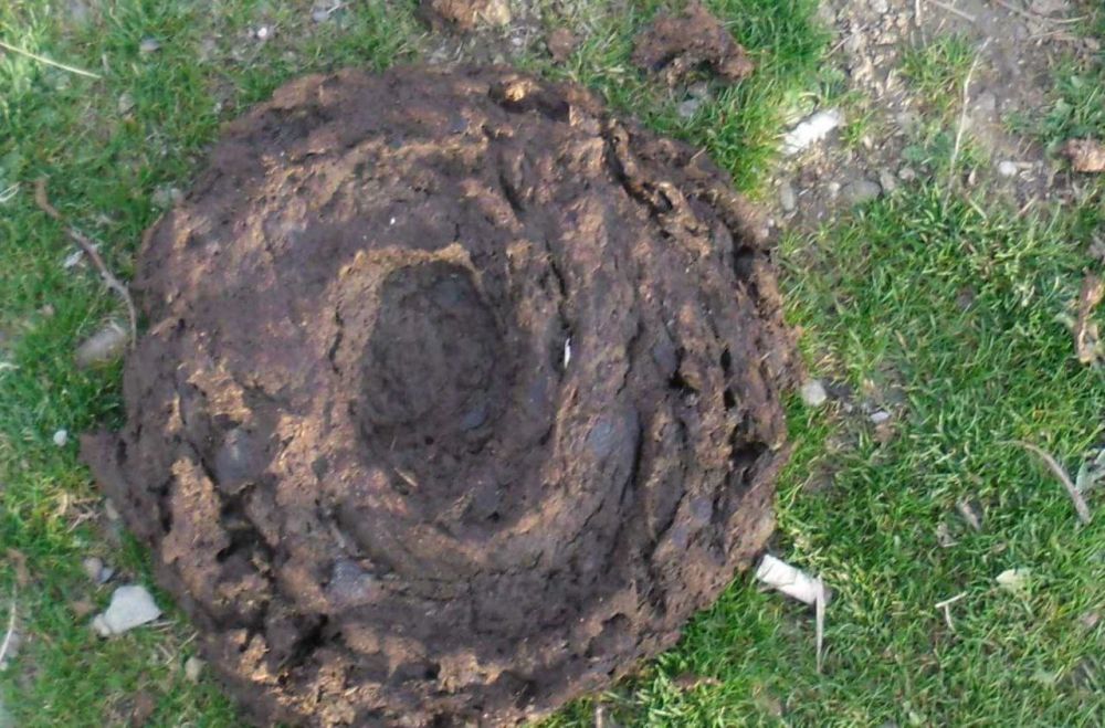 ������ � ���� ������������� ������� ����� ����������� �� ������� ������, � �������� ������