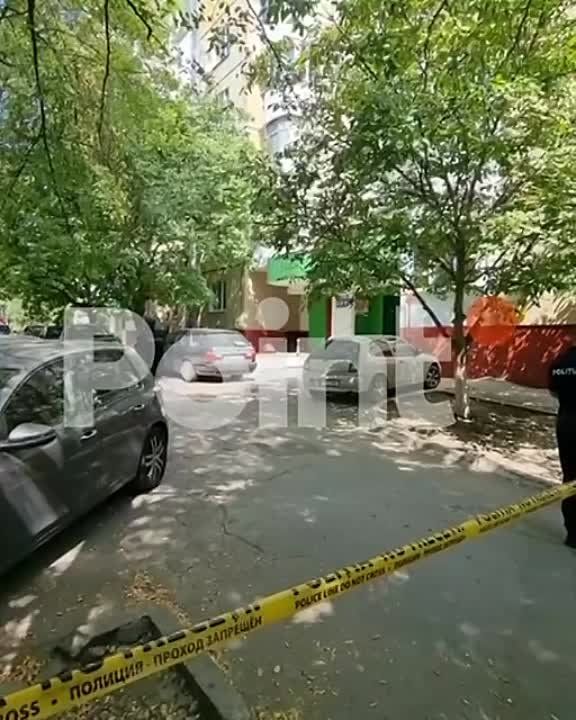 � ��������������� ���� �������� ��������� ���������� ������