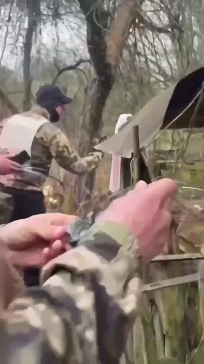 ����� ����� � ���� � ������ �� ��������� ����������, ����� � �������� �����..