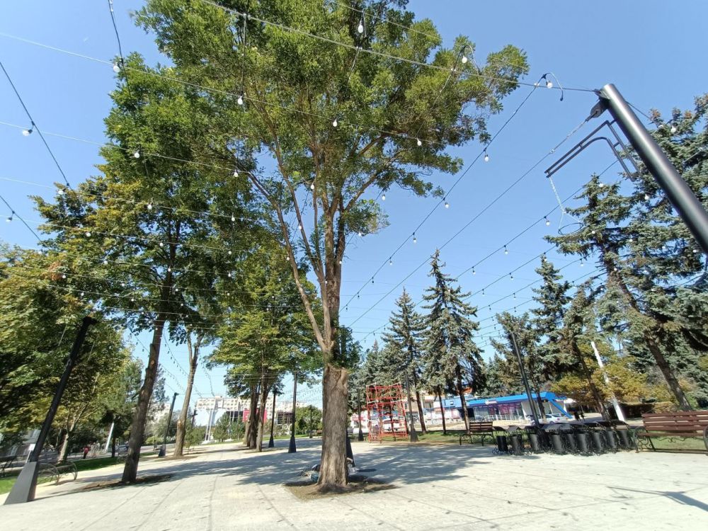 ����� � ������� � ��� ��� ����� ���������� ������ �� �����