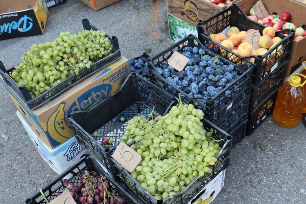 ����� ������� ������� � ����������