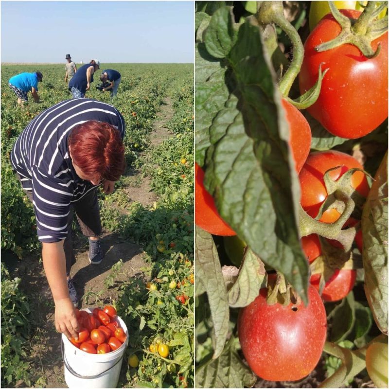 �� ����� ���������������� ��������� ������� ��������� ������ �������� ������� ��������