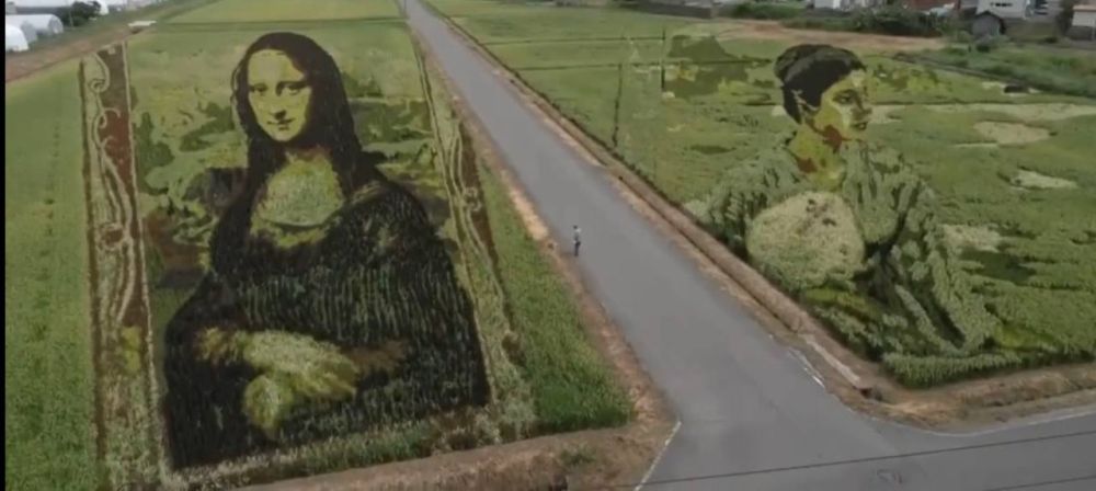 ���� ���� �� ������� ����� ������