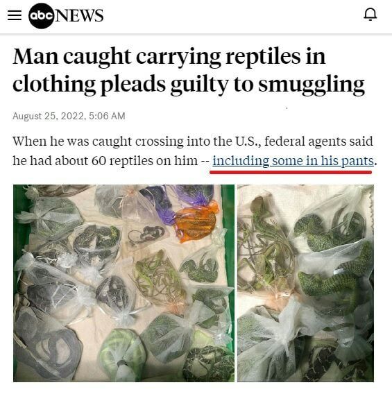 ���������� ������������ �������� � ��� ����� ��������, ����� �� � ���� � ������