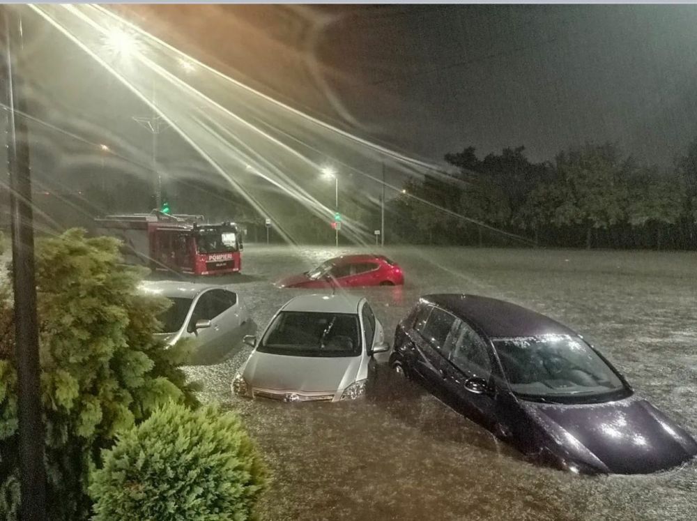 �������, �����. ���� ���� ���� ����������