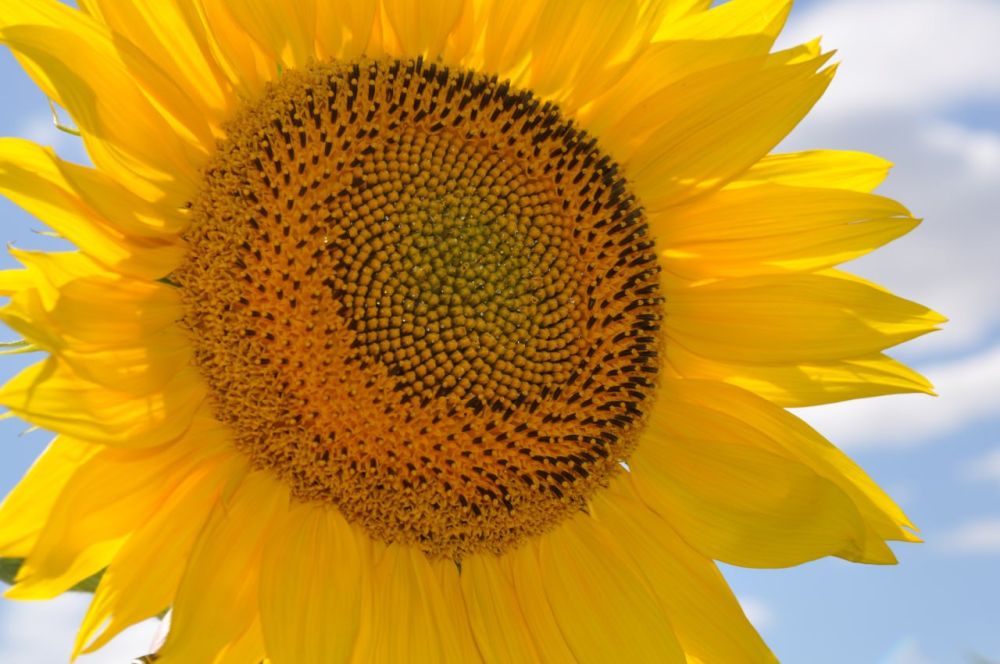 �������, 30 �������, ��������� ���������� ����������, ������� ������� ��������������� �����, �������� �����