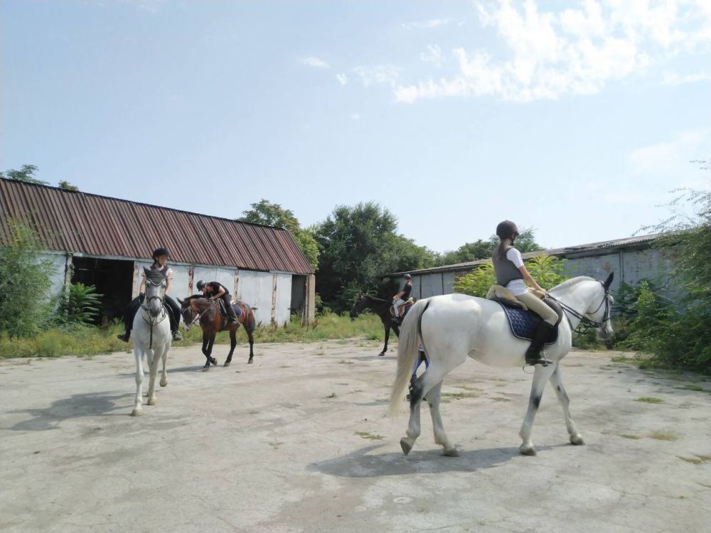 �� ���� �����-����������� ����� ������-������� ������� ������ ������