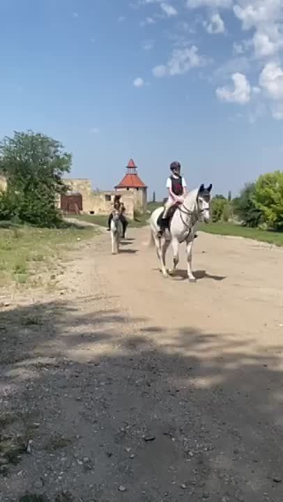 � ������ ����� ������ ������ ��� �������