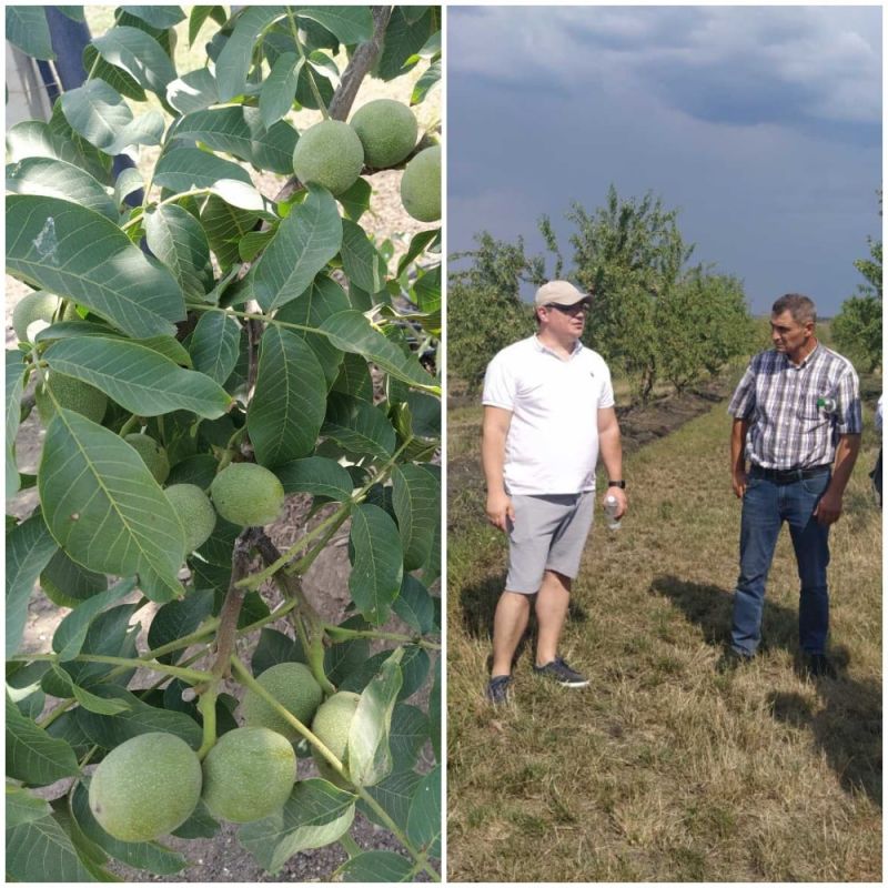 ����������������� ��� �� ������ ������ ������