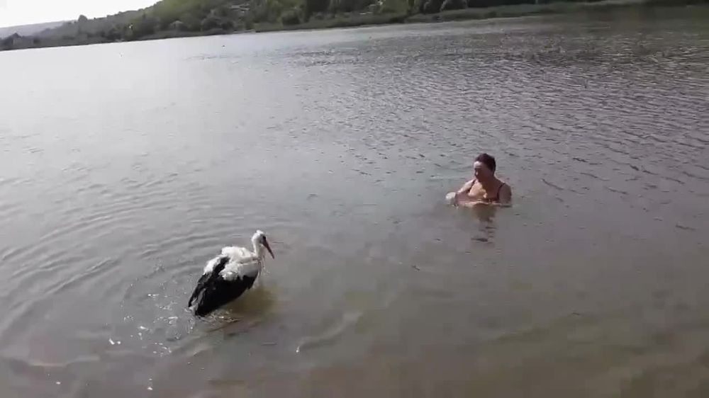 ���� ���� ����� ������������ ��������� ���� ����, � �� ��� � ������ � ����� � �������������