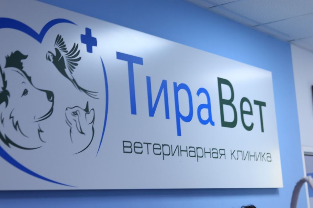 �������� � ������������ �������