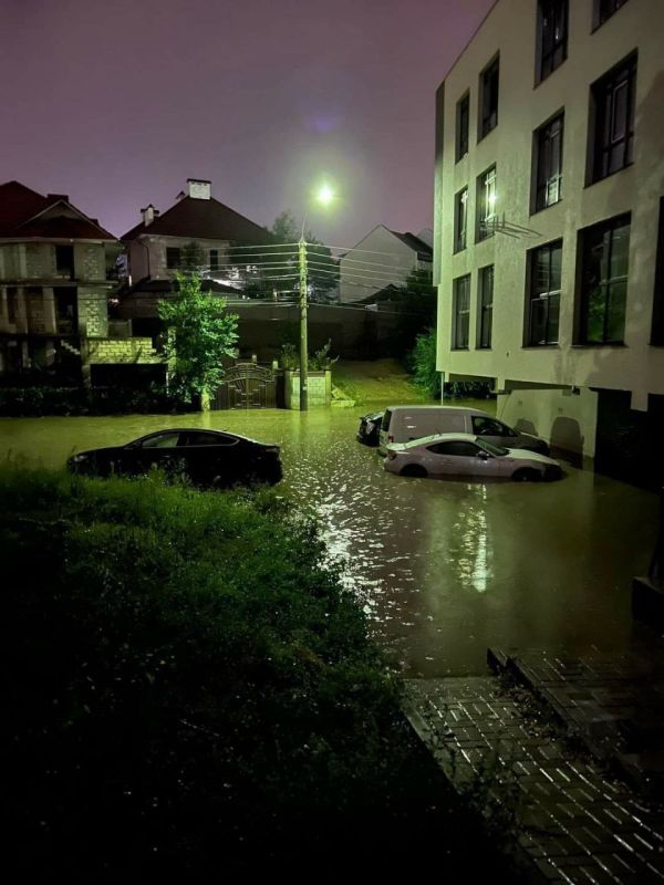 �������� �����������. ����� ������� ��������, ����� ������������ � ����