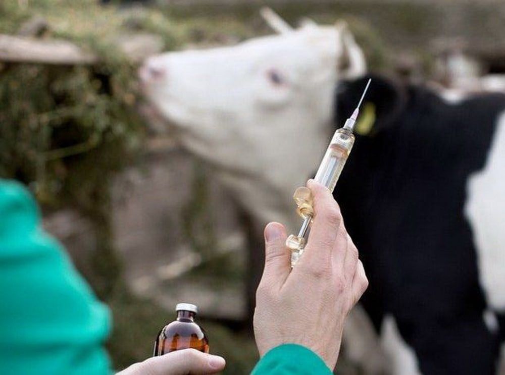 ��������������� ���������� ������� �������� ���� ���������������� ��������