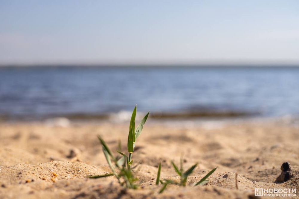 ���������� ����� ������������� ����� �������� � �������