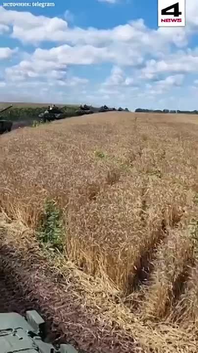 ���������-������������ �����������