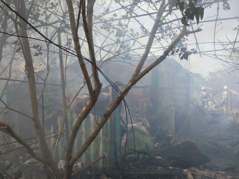 � ��������������� ����� ����� ��� ����