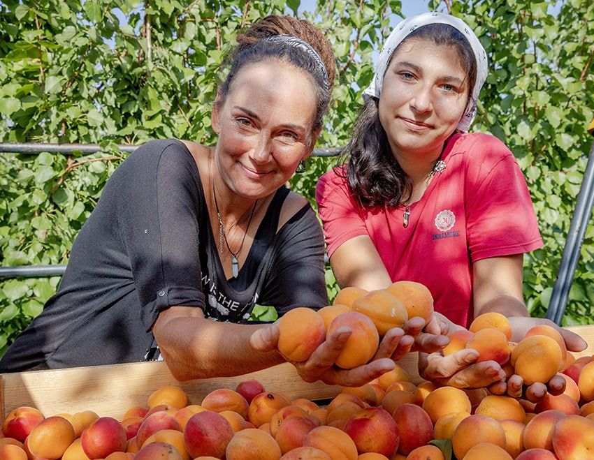 � ������� ������ ���� ���� ������� ������������: ������ � ��������, ��� �� �������� �������� �� ������ ���� ������ � ����� ��������, �� � ������� ������ ��� �� ���� ������� ������ ����