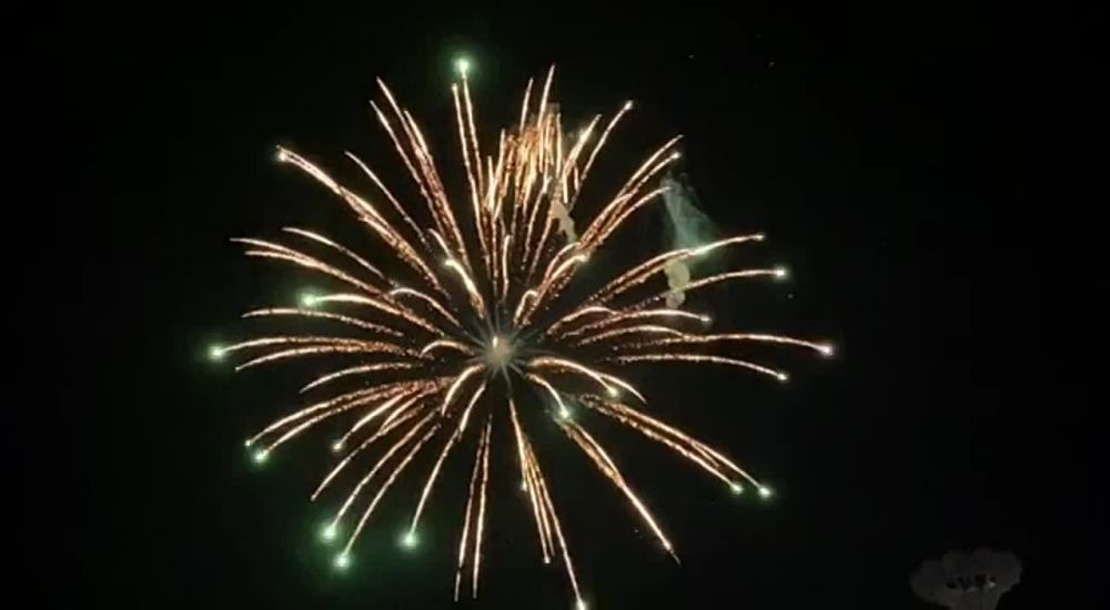 ���� �������� �������������