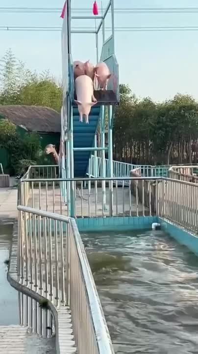 ������ � ���� ��������� ����� ���������������� ��� �� ������