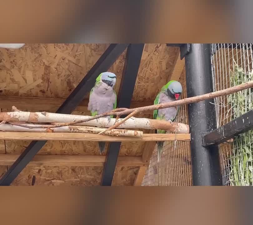 � ��������� ������� ����������