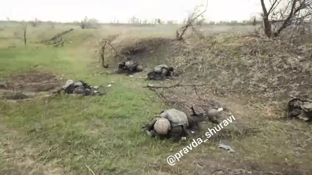 ���������� ������� �������� �� �����������-������������ ����������� �� ����� 13 ������, 19 ������ ����� ������, 12 ������ ������ ����������, 11 ������� � ����������������� ���������� � ����� 330 ������, ��� 2 ����� � ���� � ���������� ������