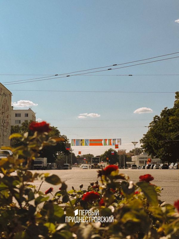 � ���� ��������, �������������