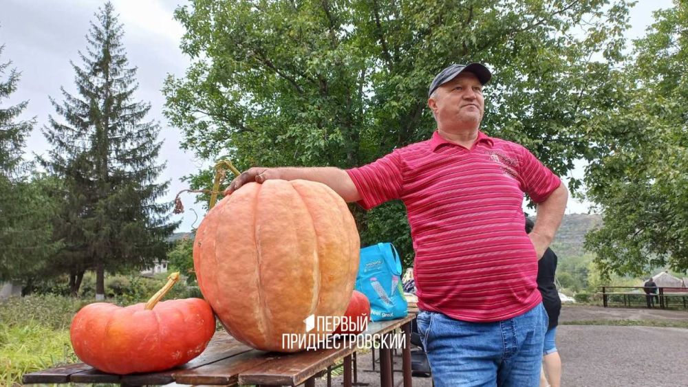 ����� �� 60 �����������. �������� ������� ����� �� ���� �������. ������, ��� ��� ����� ����� �� ��������