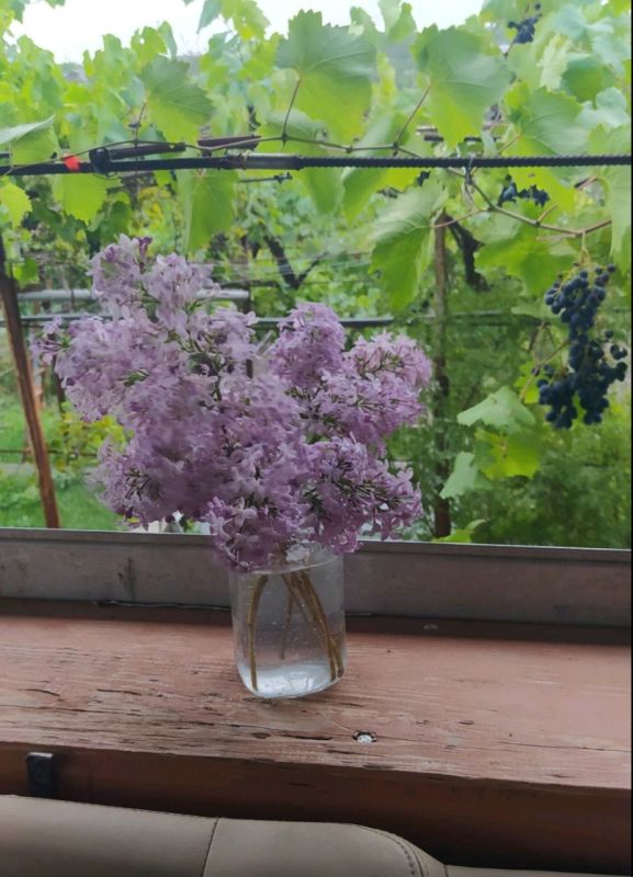 � ���� ������ �����, � � ��� ������������ ������ � ����������