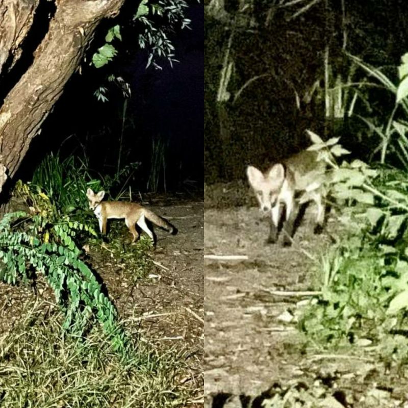 ���������� ���� � �������� �� ������ ����� ����� ��������� ������