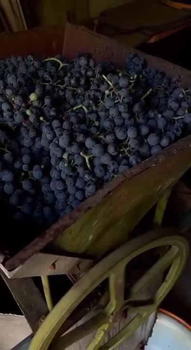 �� ������ �������� ������ ��� ������ ������� ����