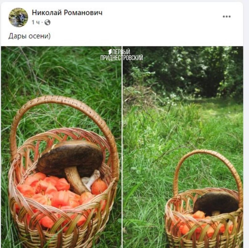 �������� ���� ������ ������������� ������ ������� ���������